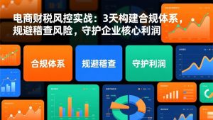 电商财税风控实战:3天构建合规体系,规避稽查风险,守护企业核心利润-聊项目