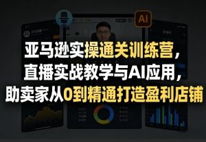亚马逊实操通关训练营，直播实战教学与AI应用，助卖家从0到精通打造盈利店铺(更新3月)-聊项目