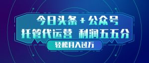 头条加公众号 托管代运营 利润分成模式 轻松月入过万-聊项目