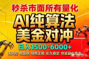 2026全网首发黑马项目，AI美金算法对冲，日入2000-6000+，稳定长效0风险，彻底告别996死工资-聊项目