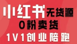 小红书无货源0粉电商课，开店准备、选品策略、笔记撰写、视频剪辑、数据分析、账号打造、资料文档(更新26年3月16日)-聊项目