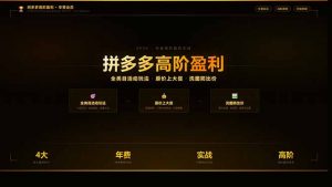 拼多多高阶盈利年费会员(更新3月31-聊项目