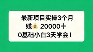 最新项目实操3个月，赚钱20000+，0基础小白3天学会！-聊项目