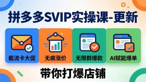 拼多多SVIP实操课-26年4月,截流卡大促+无痕涨价+无限群爆款+AI赋能爆单新玩法,带你打爆店铺-聊项目