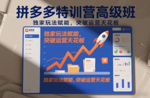 拼多多特训营高阶班，独家玩法赋能，突破运营天花板(更新26年4月18日)-聊项目