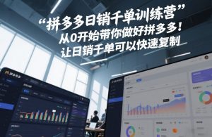 拼多多日销千单训练营，从0开始带你做好拼多多，让日销千单可以快速复制(更新26年4月)-聊项目
