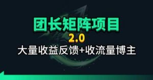 【团长合作2.0】视频矩阵项目_招发手矩阵+剪辑师，共赢项目【揭秘】-聊项目