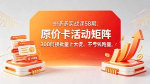 拼多多实战课58期:原价卡活动矩阵,300链接批量上大促,不亏钱跑量-聊项目