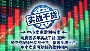 电商圈多年实战干货-更新5月10:多位资深师兄实战干货/覆盖全域平台,中小卖家可复制的盈利指南-聊项目