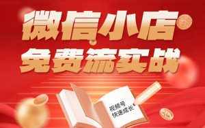 微信小店免费流实战,有货源无货源双模式,从开店到爆单全实操课,小白也能月入1W+-聊项目