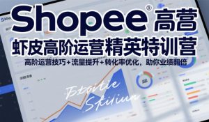 Shopee虾皮高阶运营精英特训营，高阶运营技巧+流量提升+转化率优化，助你业绩翻倍(更新26年5月)-聊项目