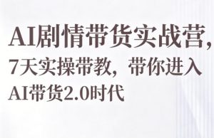 AI剧情带货实战营,7天实操带教,带你进入AI带货2.0时代-聊项目