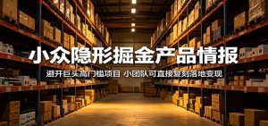 小众隐形掘金产品情报:避开巨头高门槛项目,小团队可直接复刻落地变现-聊项目