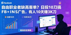 自由职业者缺高客单?日投10刀搞FB+INS广告,有人10天赚3K刀!【原创双语字幕】-聊项目