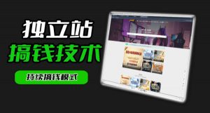 干货来袭!麦子甜带你吃透独立站|从搭建到引流一站式教学《独立站》第一期-聊项目