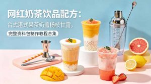 网红奶茶饮品配方:台式港式果茶奶盖杨枝甘露,完整资料包制作教程合集-聊项目