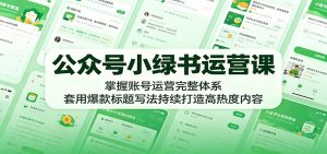 公众号小绿书运营课:掌握账号运营完整体系,套用爆款标题写法持续打造高热度内容-聊项目