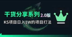 KS项目2.0期-拆本周结1W项目思路,几张图撬动流量群体,真的生猛-聊项目