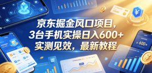 京东掘金风口项目,3台手机实操日入600+,实测见效,最新教程【揭秘】-聊项目