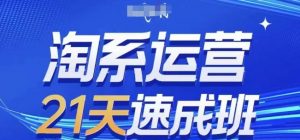 淘系运营21天速成班,0基础轻松搞定淘系运营,不做假把式,快速复制落地(更新26年5月)-聊项目
