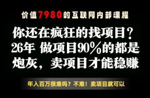 26年请不要疯狂的找项目了,卖项目远比你想象的暴利,你也可以月入10W+【揭秘】-聊项目