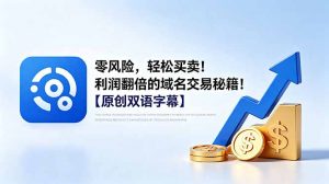 零风险，轻松买卖！利润翻倍的域名交易秘籍！【原创双语字幕】-聊项目