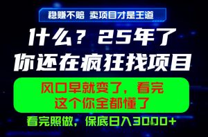 26年,请不要疯狂的找项目做了!卖项目才是真的稳賺不赔,看完照做,保底日入1k+【揭秘】-聊项目