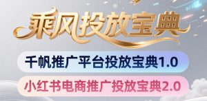 小红书千帆推广平台投放宝典，小红书电商推广投放宝典2.0-聊项目