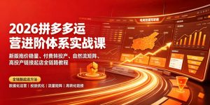 2026拼多多运营进阶体系实战课|新版拖价稳量、付费转投产、自然流矩阵、高投产链接起店全链路教程-聊项目