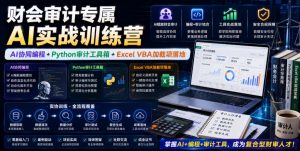 财会审计专属AI实战训练营|AI协同编程+Python审计工具箱+Excel VBA加载项落地(更新0710)-聊项目