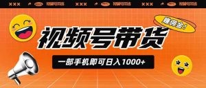 视频号带货,一部手机即可日入1000+,无人直播玩法轻松躺赚带货佣金-聊项目